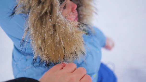 Η μητέρα κρατά τα παιδιά το χέρι και να πάει στη διάρκεια του χειμώνα, με την χιονόπτωση. Κινηματογράφηση σε πρώτο πλάνο — Αρχείο Βίντεο