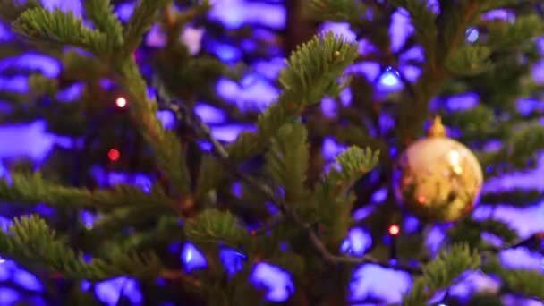 Ragazza decora l'albero di Natale. appeso giocattoli di Natale — Video Stock