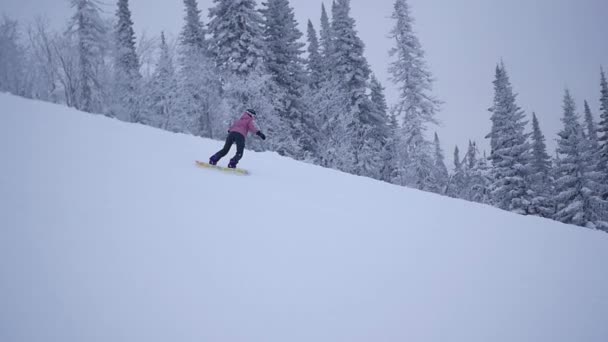 A menina desce da montanha em snowboard em slowmo — Vídeo de Stock