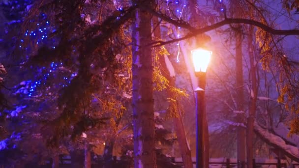 Één nacht lantaarn verlicht de sneeuwval in het park — Stockvideo