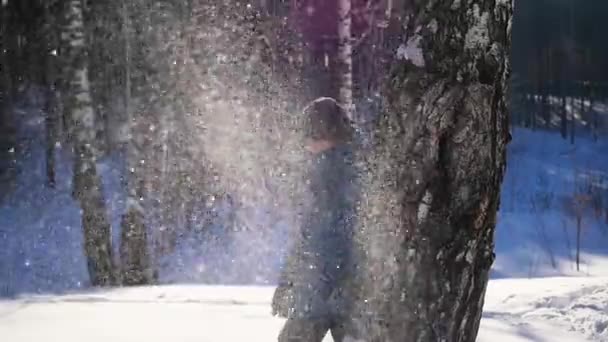 Criança jogando neve sobre si mesmo e gosta no parque de inverno. inverno Dia ensolarado — Vídeo de Stock