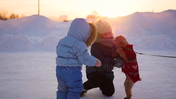 Barn som leker med en hund på vintern vid solnedgången — Stockvideo