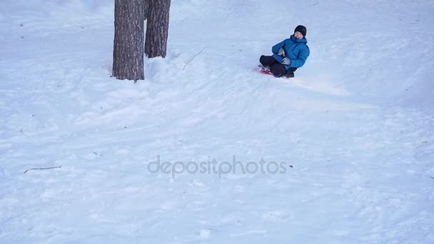 快乐家庭开心玩雪地上覆盖道路。下雪的冬天景观。户外体育活动 — 图库视频影像