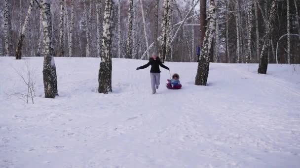 Balades en famille heureuses et snowtube souriant sur les routes enneigées.ralenti. neige hiver paysage. sports de plein air — Video