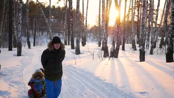 Ember játszani a gyerekekkel, gördülő őket az snowtube.snow téli táj. a szabadban sport — Stock videók