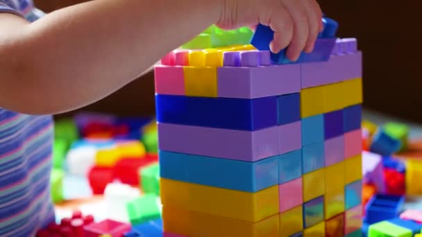 Un niño pequeño juega en el constructor. Juego de los niños diseñador. Cubos de colores . — Vídeo de stock