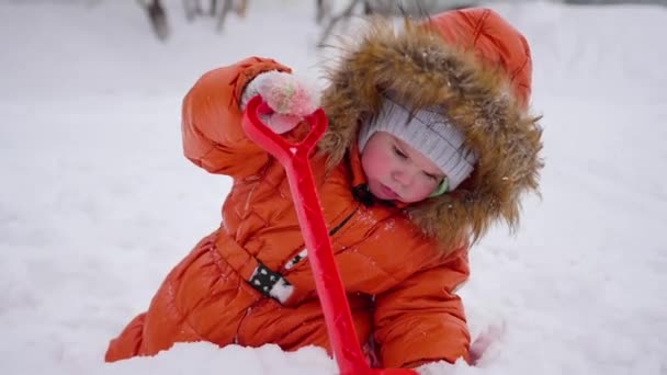 Šťastné dítě baví hrát v parku na slunný zimní den. Snow zimní krajina. na čerstvém vzduchu — Stock video