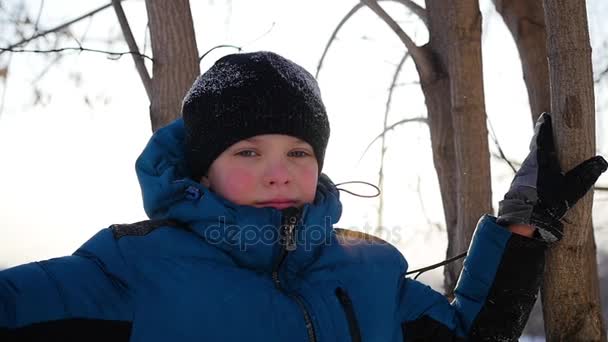 Uma criança fica perto de uma árvore no fundo da luz solar. Paisagem inverno . — Vídeo de Stock