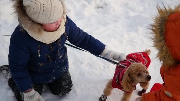 Children playing with a dog in winter at sunset — Stock Video