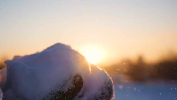 Lány fúj a hó kezével naplementében háttér — Stock videók