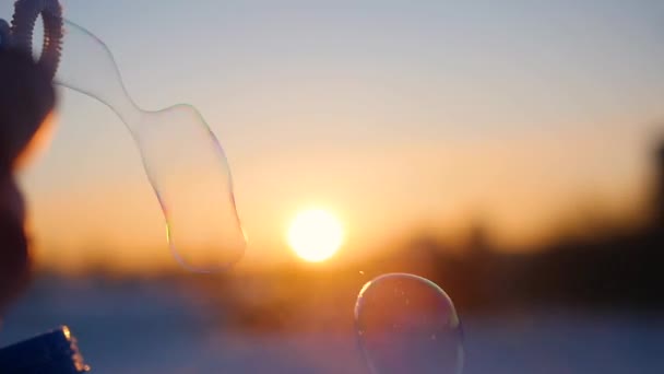 Mooie zeepbellen op achtergrond van zonsondergang in ijzige winterdag — Stockvideo