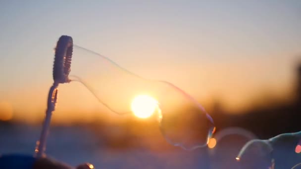A háttérben a naplemente, a téli fagyos nap gyönyörű szappanbuborékok — Stock videók