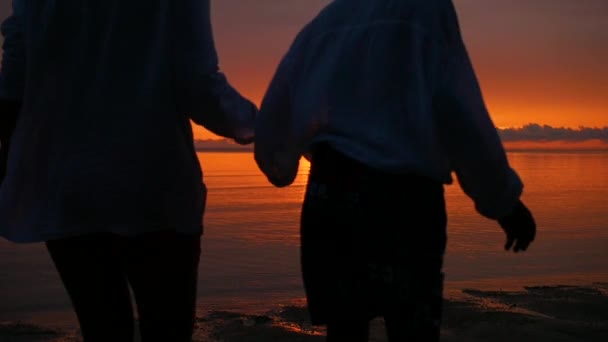 Rodina drží ruce projíždí na pláži směrem k moři při západu slunce — Stock video