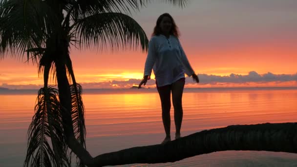 Una niña se para en una palmera sobre un fondo de rojo atardecer en la orilla del mar — Vídeos de Stock