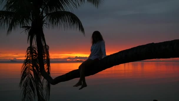 Девушка сидит на пальме на фоне красного заката на берегу моря — стоковое видео
