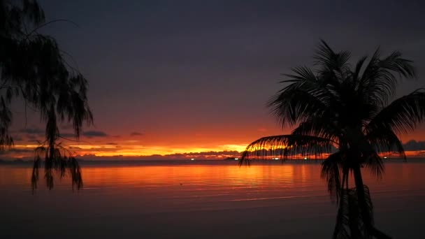 Hermoso atardecer rojo en la playa con una palmera — Vídeo de stock