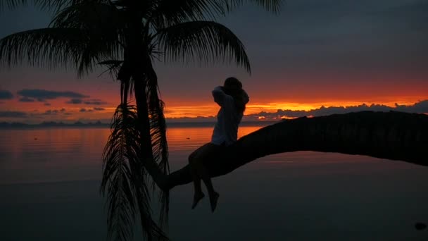 Дівчина сидить на пальмі на фоні червоного заходу сонця на березі моря — стокове відео