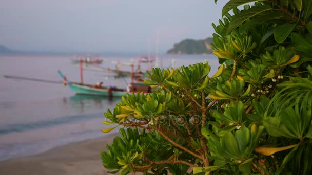 Barco de pesca no mar em borrão. amanhecer — Vídeo de Stock