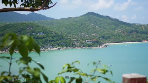 Árvore verde deixa contra o oceano azul e montanhas em dia ensolarado — Vídeo de Stock