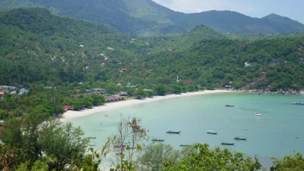 Green tree leaves against the blue ocean and mountains in Sunny day — Stock Video