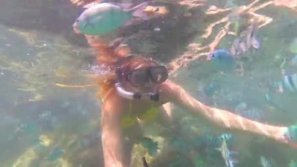 Дитина і дівчинка купаються в морі з рибою. Підводне плавання в масках — стокове відео