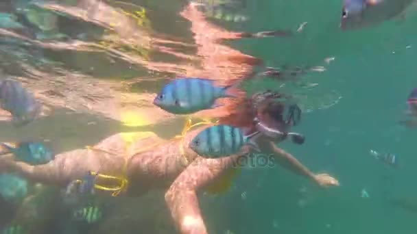 Chica bañarse en el mar con peces. Buceo en Máscaras — Vídeos de Stock