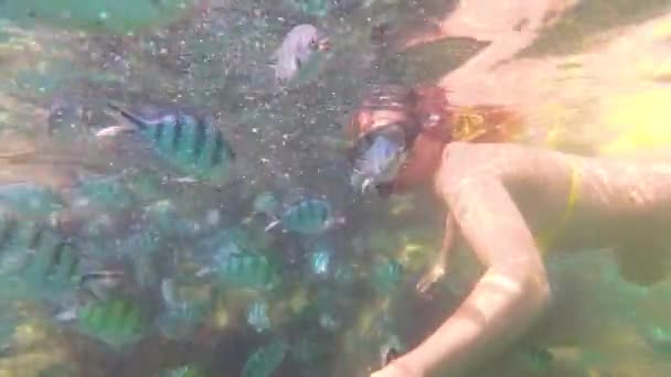 Flicka bada i havet med fisk. Dykning i masker — Stockvideo