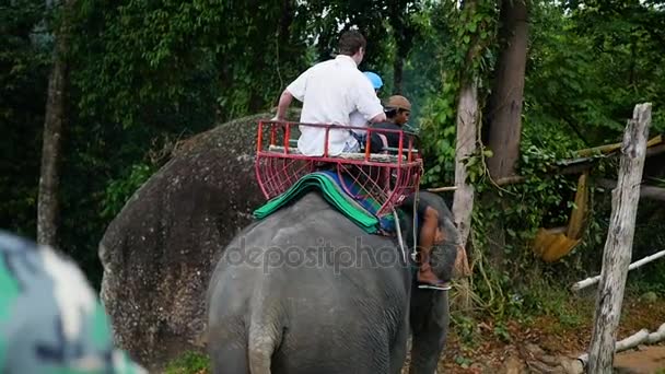 PHANGAN, THAILAND - March 30,2017: The family riding on elephants in the tropical forest — Stock Video