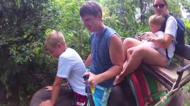 Samui, Tayland. Filler tropikal ormanda sürme aile