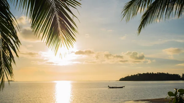 De zonnestralen passeren de palmtak. Tropische bomen aan de kust. Zonsondergang tijd — Stockfoto