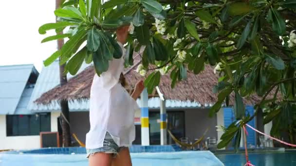 The girl enjoys the scent of a flowering tropical tree.Plumeria — Stock Video