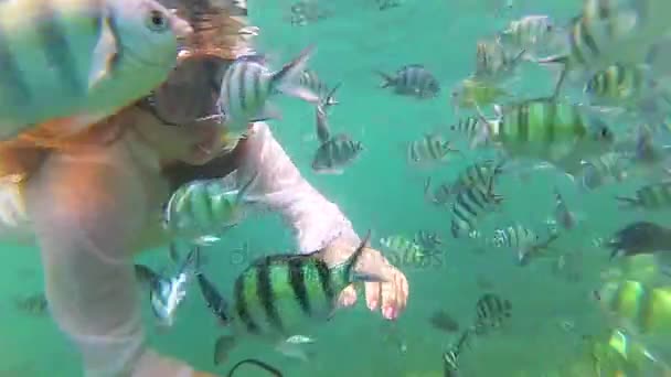 Menina tomar banho no mar com peixes. Mergulho em máscaras. PHANGAN, THAILAND . — Vídeo de Stock