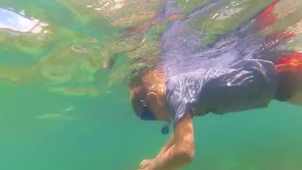 Dítě koupat v moři s rybami. Potápění v maskách. Tropický ostrov — Stock video