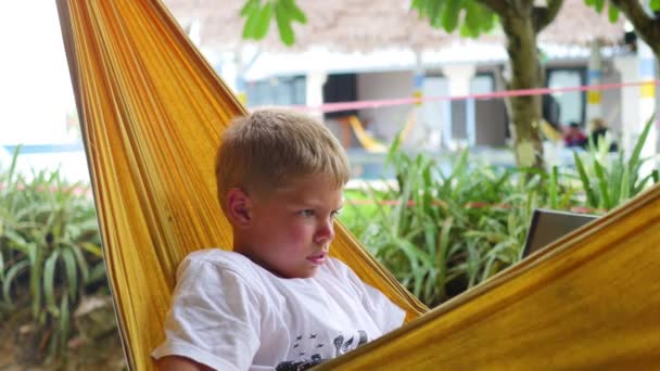 Young guy playing on laptop lying in a hammock — Stock Video