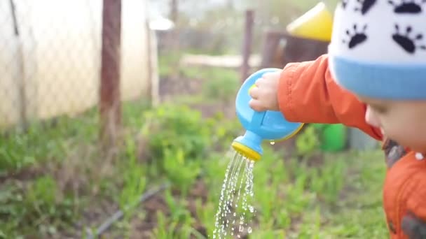 A child with a small watering can water the grass in the yard — Stock Video