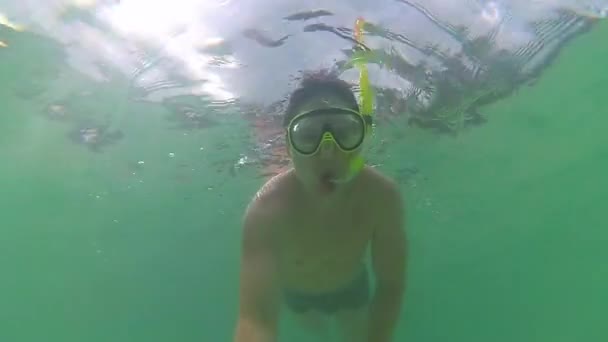 Il ragazzo si bagna in mare con i pesci. Immersioni subacquee in maschera. PHANGAN, THAILANDIA . — Video Stock