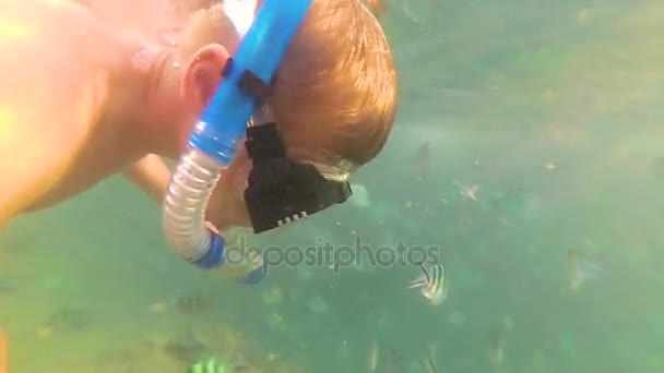 Ein Kind badet im Meer mit einem Fisch in der Sonne. Tauchen in Masken. tropische Insel — Stockvideo