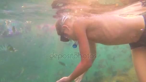 Dítě se koupe v moři s rybou na slunci. Potápění v maskách. Tropický ostrov — Stock video
