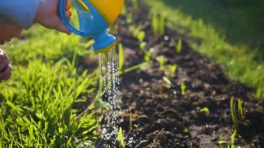 Küçük sulama olabilir su bahçede çim ile bir çocuk. Genç bahçıvan