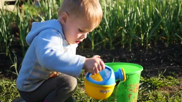 Un niño con una pequeña regadera puede regar la hierba en el patio. Joven jardinero — Vídeo de stock