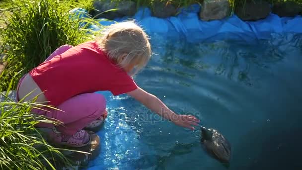 Flicka som leker i parken nära en damm. Solig sommardag — Stockvideo