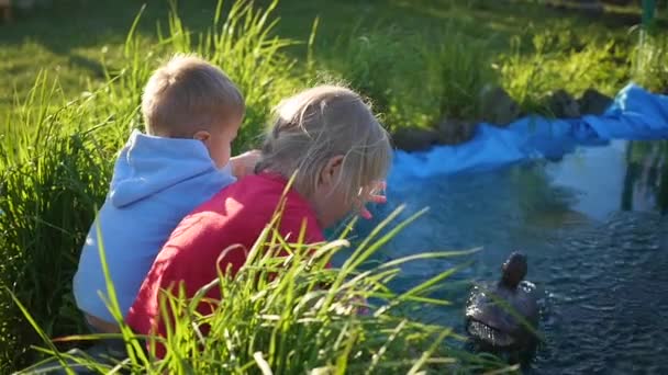 Çocuklar parkta oynarken gölet yakınındaki. Yaz güneşli gün — Stok video