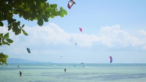 Phangan, Thailand - mars 31,2017: Människor surfar med drakar. Aktiv utomhus sport. — Stockvideo