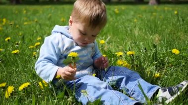 mutlu çocuk dandelions alanında oturur. Açık havada çocuk oyunu