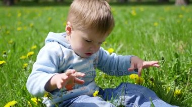 mutlu çocuk dandelions alanında oturur. Açık havada çocuk oyunu