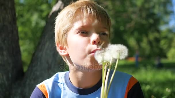 Bel ragazzo che soffia semi di dente di leone nel parco, al rallentatore — Video Stock