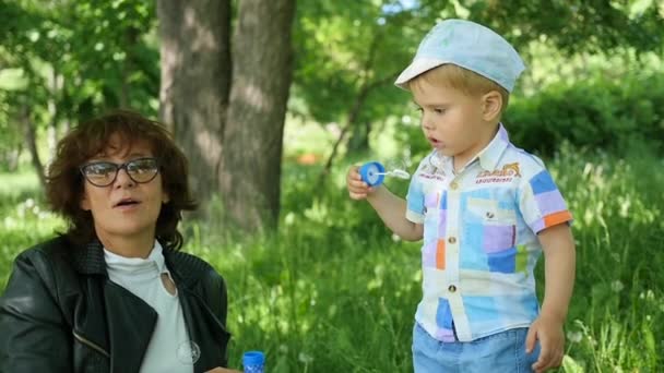 Grandmother with a child resting playing in the park. Inflate soap bubbles. Outdoor recreation — Stock Video