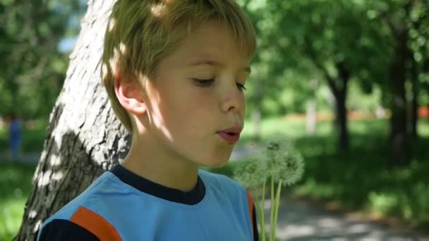 Bonito menino soprando sementes de dente-de-leão no parque, câmera lenta — Vídeo de Stock