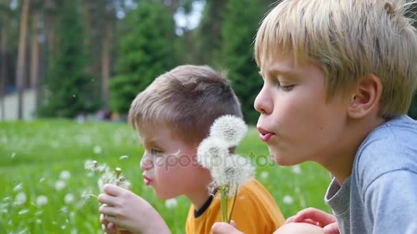 Glückliche Kinder pusten Löwenzahnsamen in den Park, Zeitlupe. Familienurlaub im Park — Stockvideo