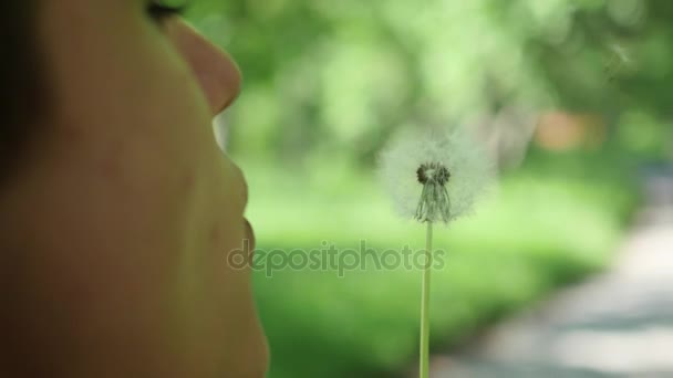ハンサムな男の子の公園、スローモーションでタンポポの種を吹く — ストック動画